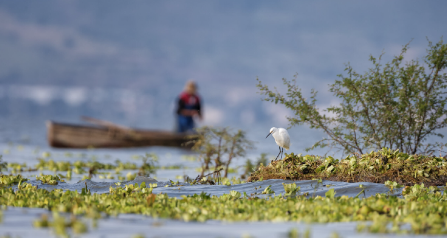 Red internacional “Living Lakes” busca restaurar 13 lagos en diez países
